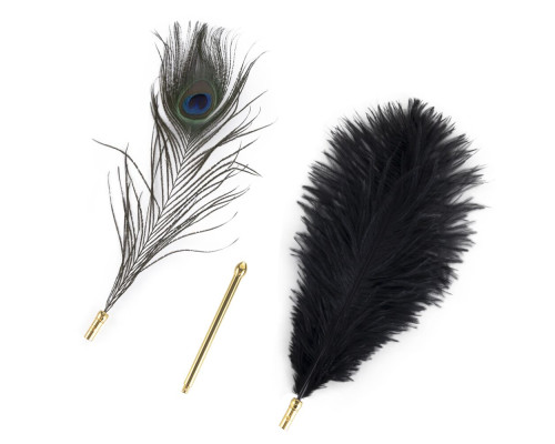 Лоскітка LOCKINK SEVANDA Natural Peacock Flirting Feather Tickler, пір’я павича та страуса