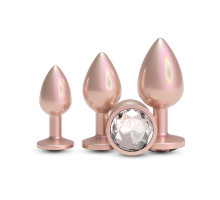 Набір анальних пробок NS Novelties Rear Assets - Trainer Kit - Iridescent Champagne - Clear Gem