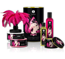 Подарунковий набір Shunga Romance Cosmetic Kit