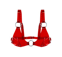 Ліф класичний Feral Feelings - Bikini Top Red Trasparent