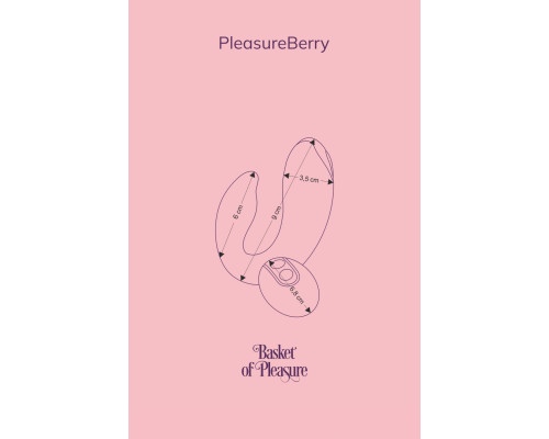 Вібратор для пар FairyGasm PleasureBerry violet, зарядний кейс, пульт ДК