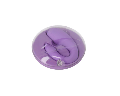 Вібратор для пар FairyGasm PleasureBerry violet, зарядний кейс, пульт ДК