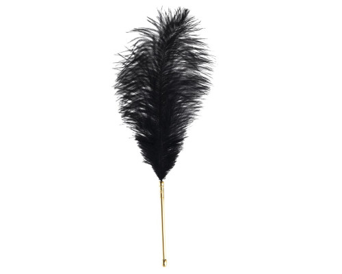 Лоскітка LOCKINK SEVANDA Natural Peacock Flirting Feather Tickler, пір’я павича та страуса