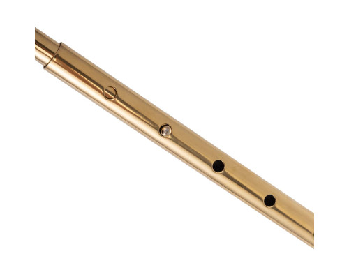 Анальний гак LOCKINK Golden Adjustable Anal Hook Set