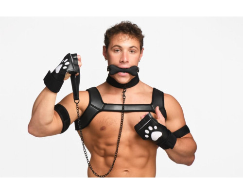 Набір BDSM цуценя Master Series Luxury Pup Arsenal Set - Black