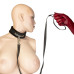 Нашийник із повідцем Punishment - Crystal Collar & Leash - Black