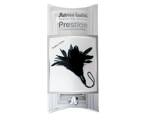 Мітелка Adrien Lastic Prestige
