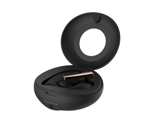 Вібратор у трусики Rosy Gold - Remote Control Panty Vibrator