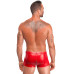 Чоловічі шорти Noir Handmade H097 Ignite shorts L