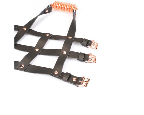 Шкіряна портупея для гомілкостопу зі шпорамиLiebe Seele Leather High Heel Ankle Harness Rose Gold