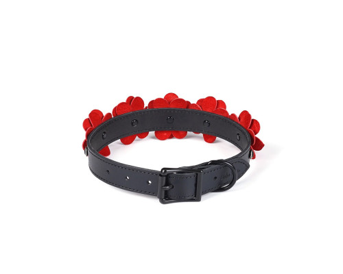 Нашийник з повідцем Liebe Seele Flower Rhythm - Black and Red Leather Flowers collar with Leash
