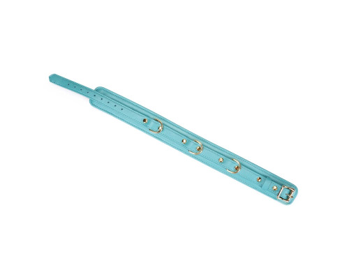 Нашийник з повідцем Liebe Seele Blue Lamb Leather Collar with Velvet Lining