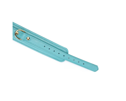 Нашийник з повідцем Liebe Seele Blue Lamb Leather Collar with Velvet Lining