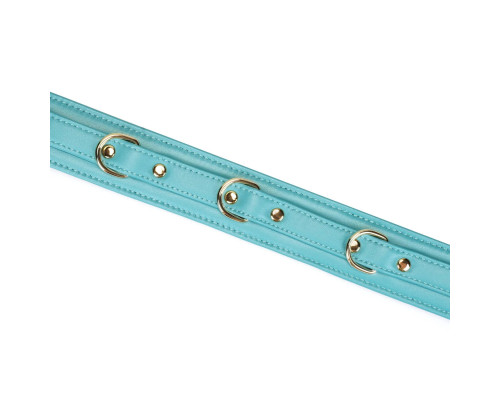 Нашийник з повідцем Liebe Seele Blue Lamb Leather Collar with Velvet Lining