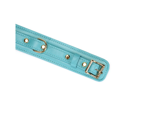 Нашийник з повідцем Liebe Seele Blue Lamb Leather Collar with Velvet Lining