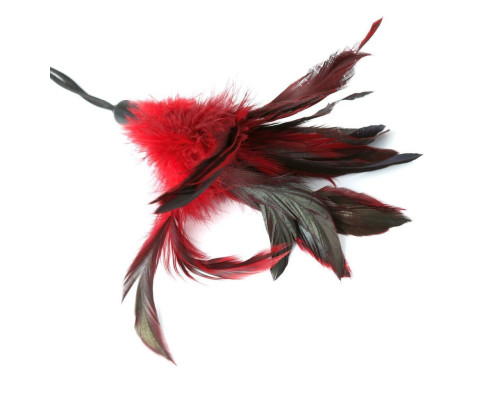 Метелочка-щекоталка Sportsheets - PLEASURE FEATHER RED на веревочной петле