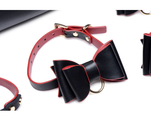 Набір БДСМ з дорожньою сумкою Master Series: Bow — Luxury BDSM Set With Travel Bag, 11 предметів
