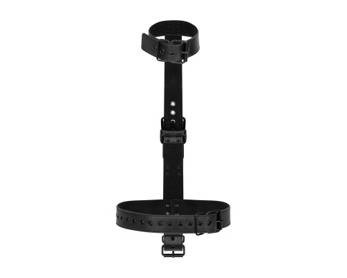 Фіксатор для рук та шиї Bedroom Fantasies: Seductive Straps Body Restraint Set