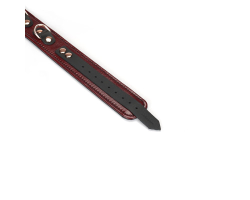 Шкіряний нашийник з повідцем Liebe Seele Wine Red Collar and Leash, 3 кільця для кріплення