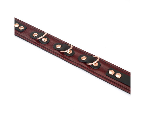 Шкіряний нашийник з повідцем Liebe Seele Wine Red Collar and Leash, 3 кільця для кріплення