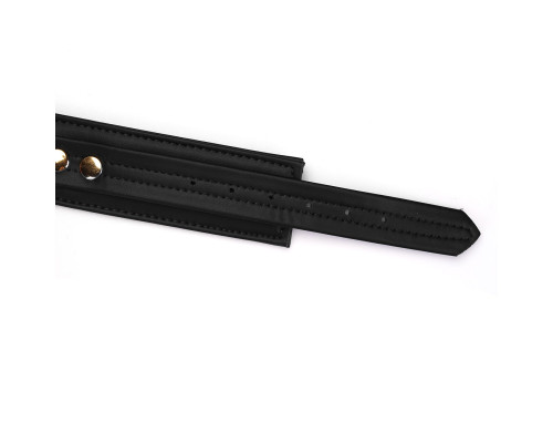 Нашийник з повідцем Liebe Seele Black Organosilicon Collar with Leash, екошкіра