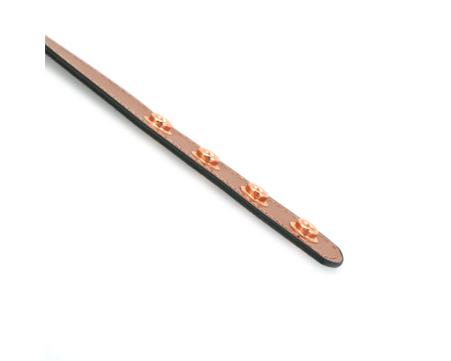 Нашийник із затискачами для сосків Liebe Seele Rose Gold Memory Collar with Nipple Clamps, шкіра